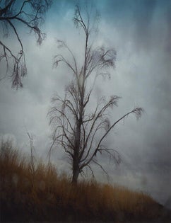 Todd Hido: A Road Divided, Special Limited Edition (with Type-C Print) [SIGNED