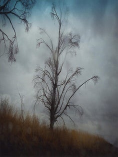 Item #110738 Todd Hido: A Road Divided, Special Limited Edition (with Type-C Print) [SIGNED]....