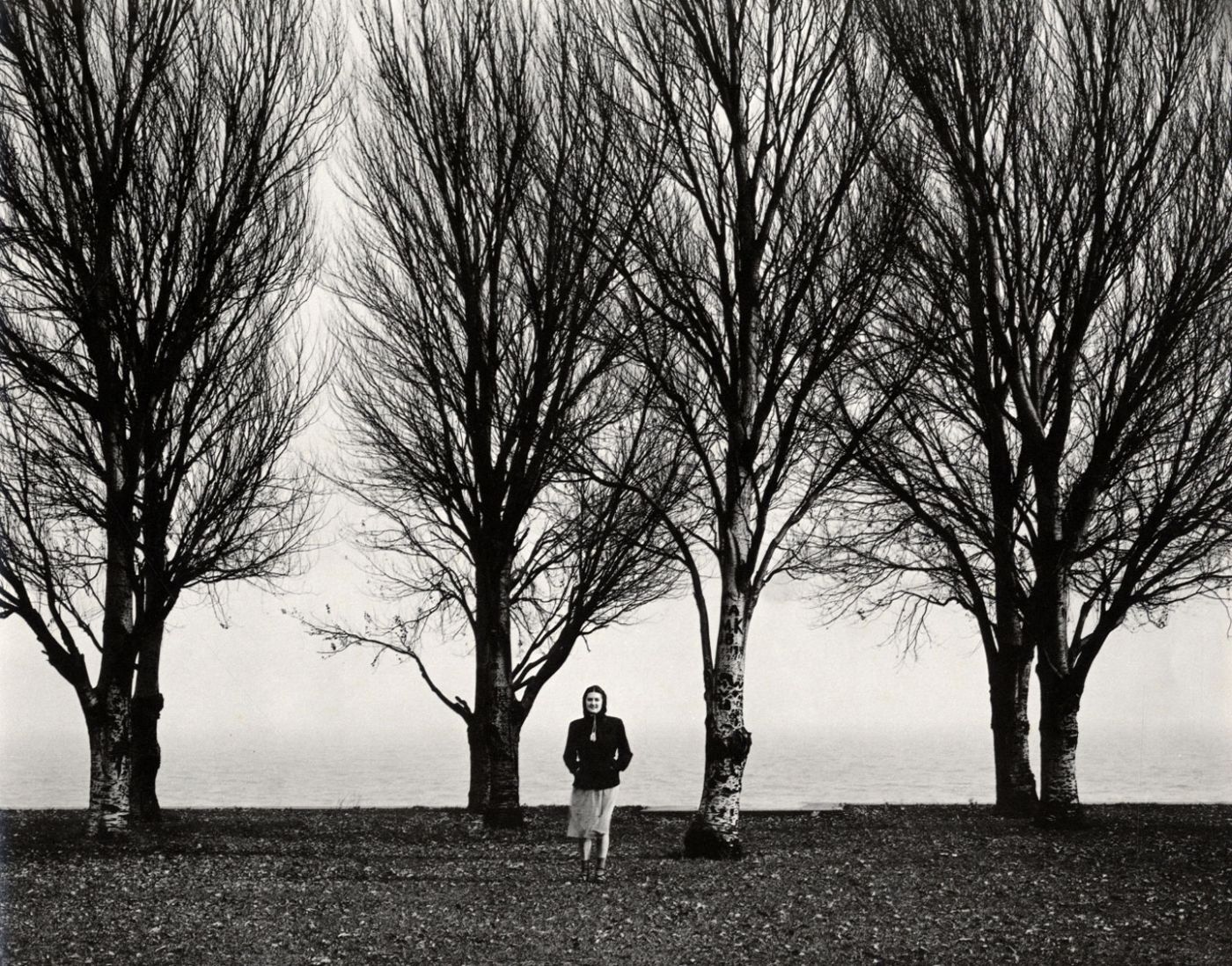 Harry Callahan: Photographs (El Mochuelo Gallery)