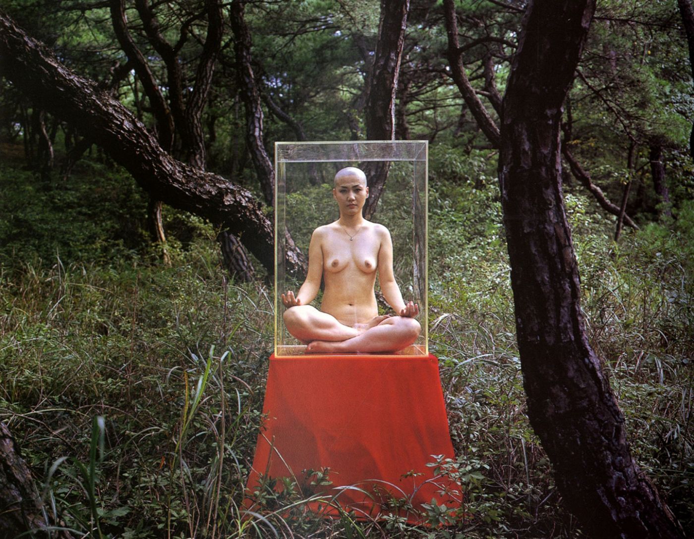 Atta Kim: Museum