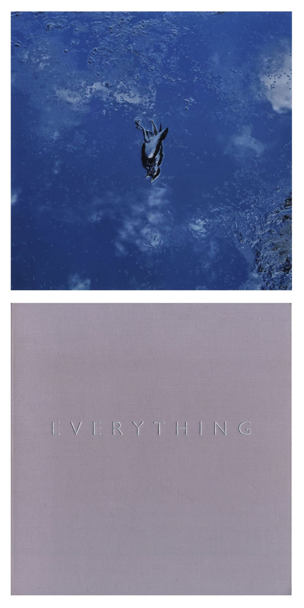 Anthony Hernandez: Everything, Special Limited Edition Artist's Proof (with Type-C Print)