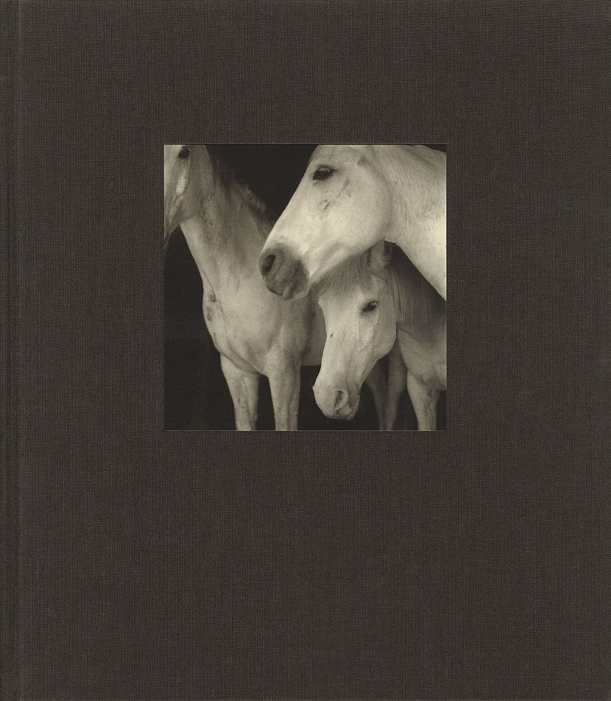 21st Editions Journal of Contemporary Photography Volume 1 (One/I) [SIGNED & INSCRIBED]