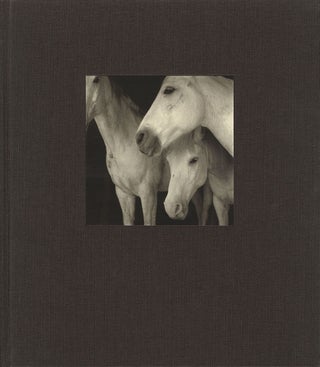 Item #111724 21st Editions Journal of Contemporary Photography Volume 1 (One/I) [SIGNED &...