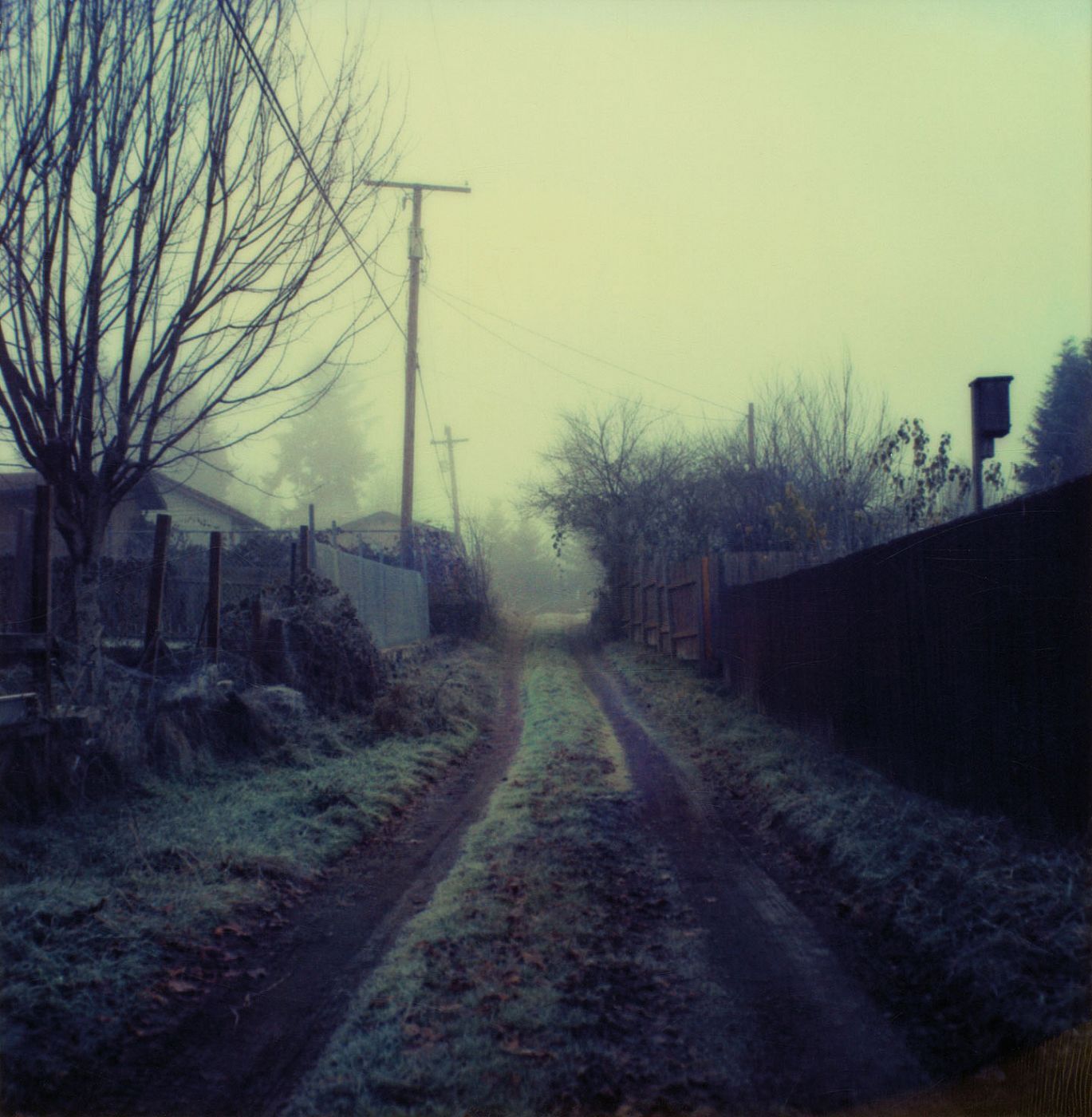 Mike Brodie: Tones of Dirt and Bone, Special Limited Edition (with 2 Type-C prints)