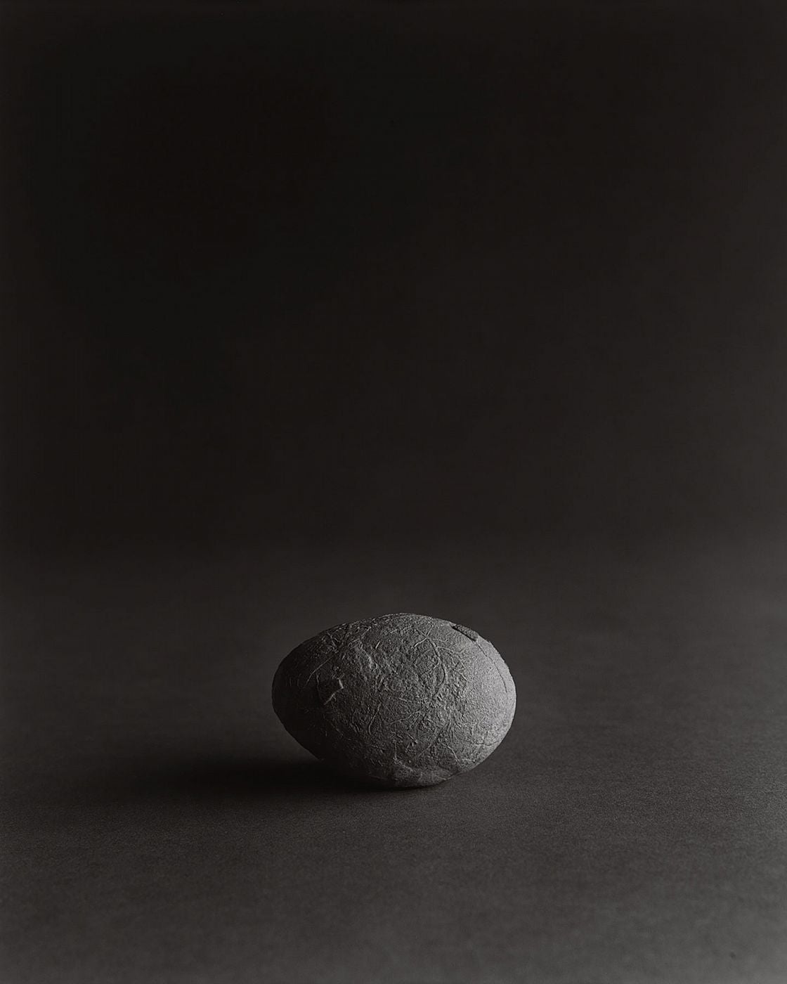 Hiroshi Sugimoto: The Long Never, Deluxe Limited Collector’s Edition of 25 (with Gelatin Silver Print, “Lightning Fields 289”)
