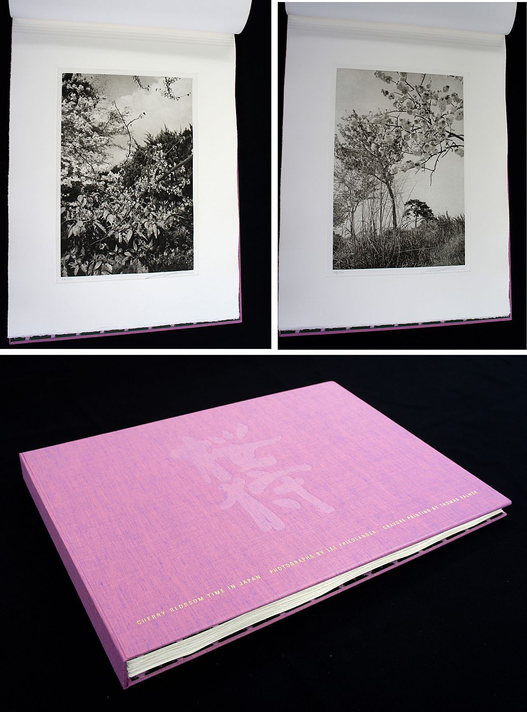 Lee Friedlander: Cherry Blossom Time in Japan Special Limited Edition Book  of 25 Photogravure Prints by Lee FRIEDLANDER on Vincent Borrelli, 