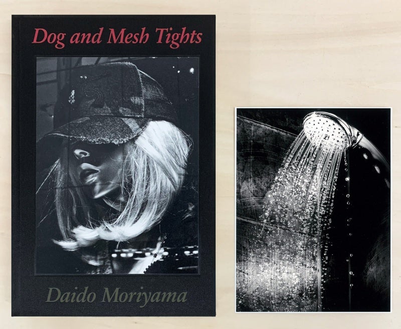 Daido Moriyama: Dog and Meshtights, Limited Edition (with Print Version A) [SIGNED]