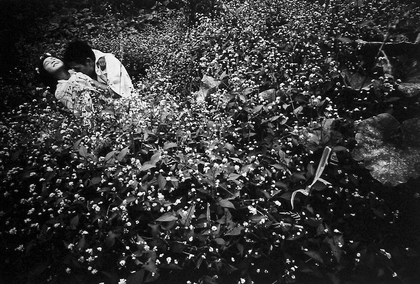 Kamaitachi: Photographs by Eikoh Hosoe, Limited Edition