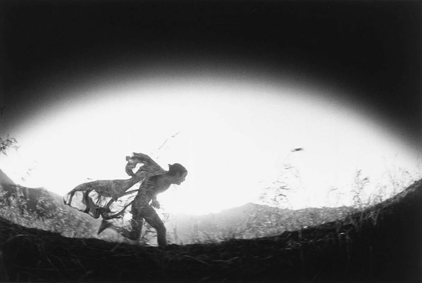 Kamaitachi: Photographs by Eikoh Hosoe, Limited Edition