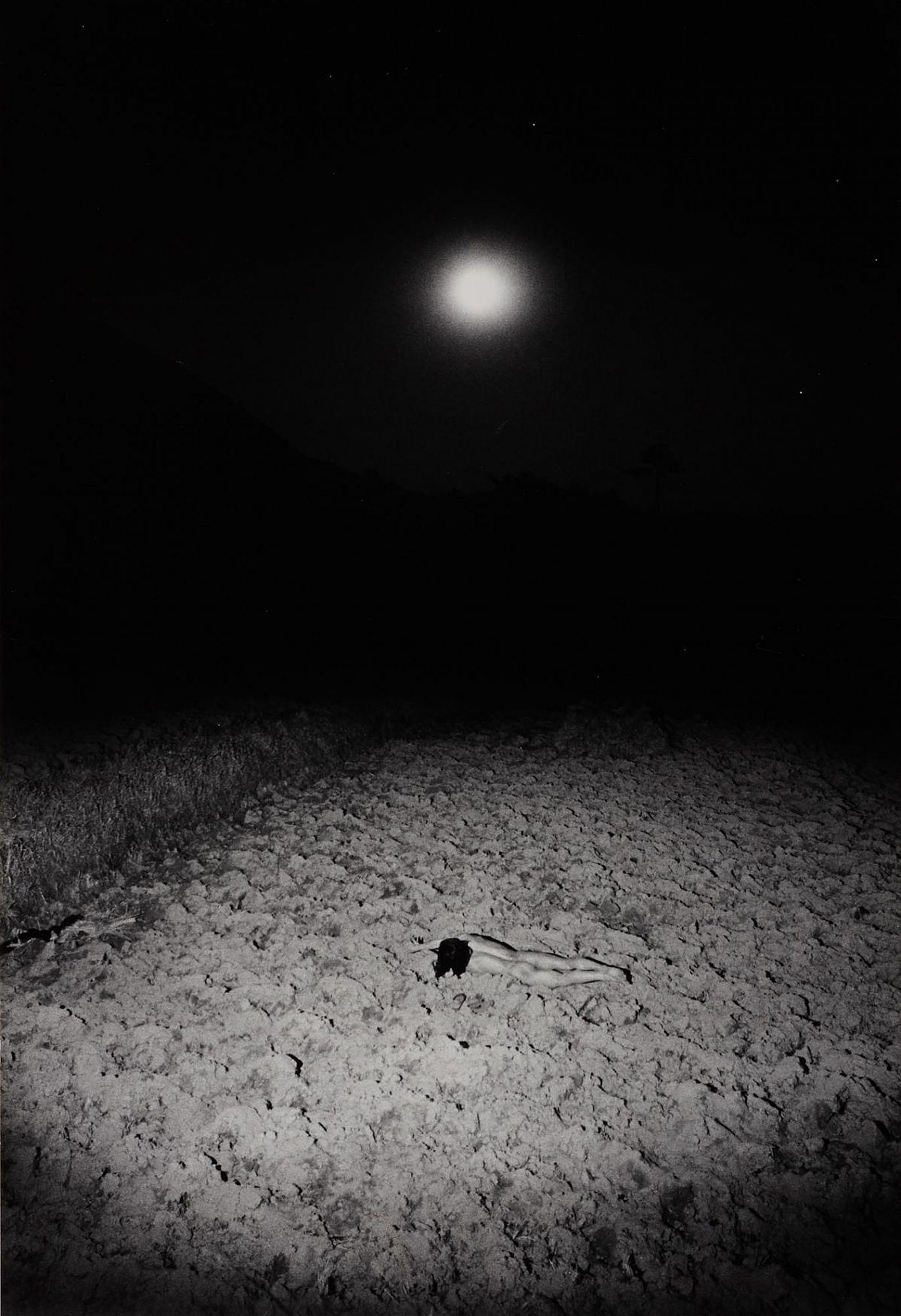 Kamaitachi: Photographs by Eikoh Hosoe, Limited Edition