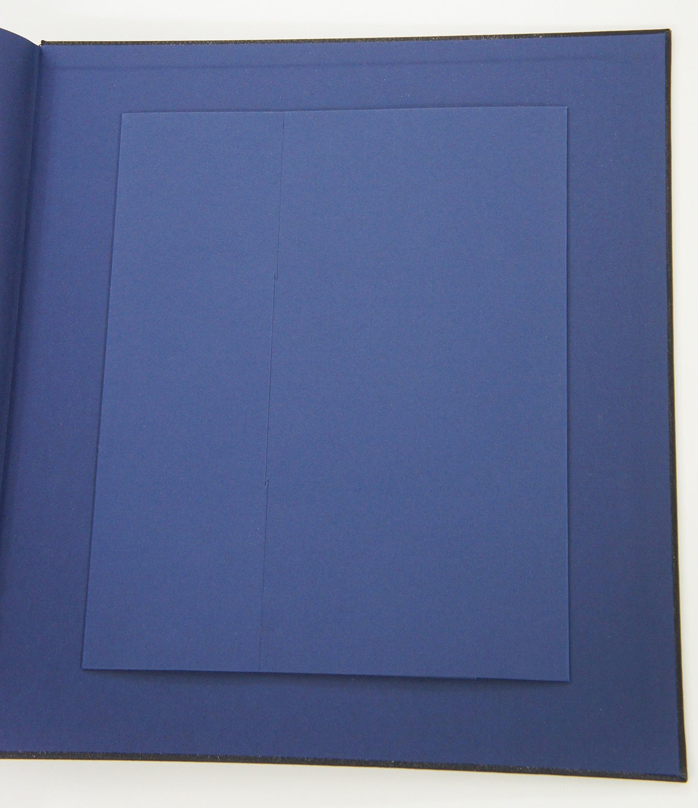 Lee Friedlander: Letters from the People (Special Limited Edition with One Vintage Gelatin Silver Print: "P")
