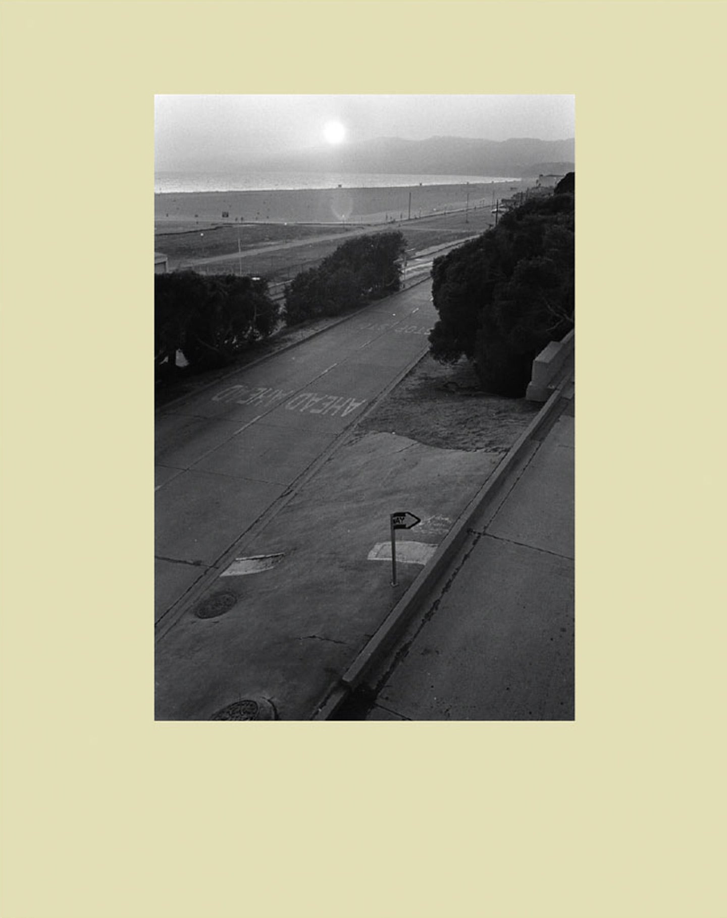 NZ Library #2: Mark Steinmetz: Angel City West: Volume One (1), Special Limited Edition (with Print) (NZ Library - Set Two, Volume Six) [SIGNED]