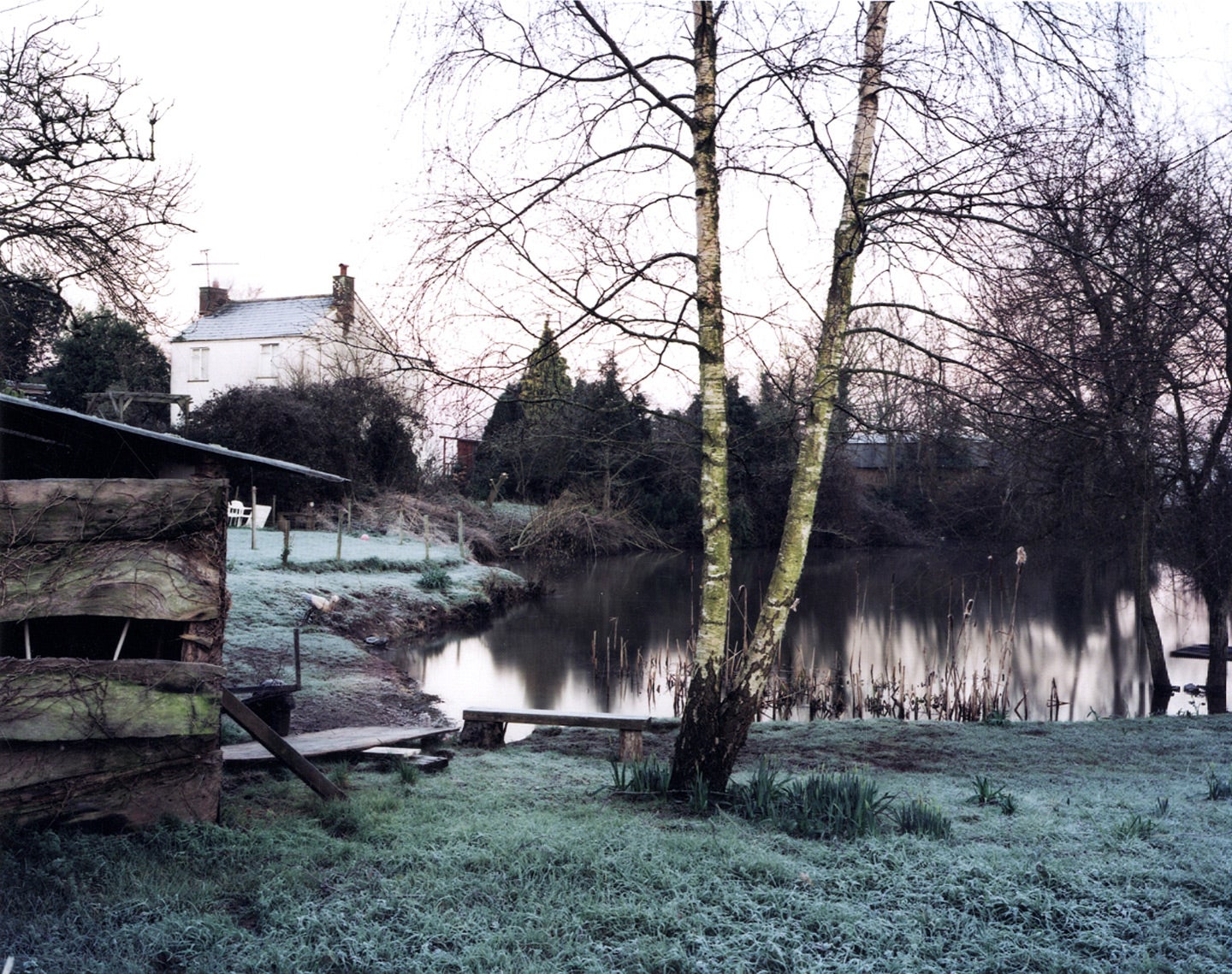 Jem Southam: "February 2001 from Upton Pyne," Limited Edition Type-C Print [SIGNED] (From Blind Spot #32 Tribute Issue)
