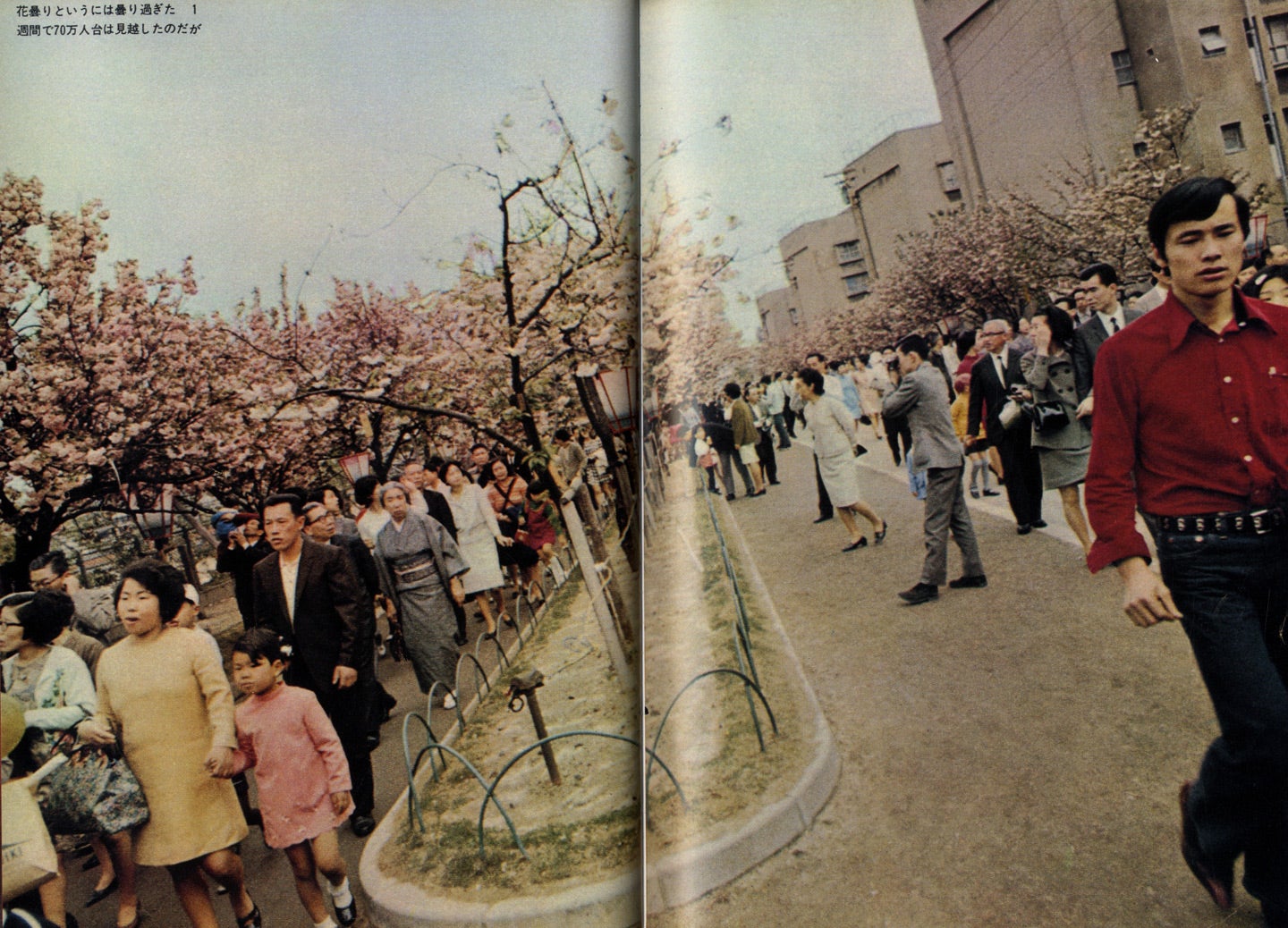 Daido Moriyama: Magazine Work (Two Volumes) from Camera Mainichi and Asahi Camera: Volume One: 1965-1970, Nippon Gekijo Shashincho (Japan, a Photo Theater) & Volume Two: 1971-1974, Nanika e no tabi (A Journey to Something), 1971-1974