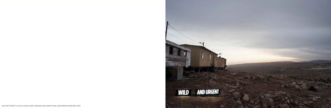 Shimon Attie: Facts on the Ground, Special Limited Edition (with Print)