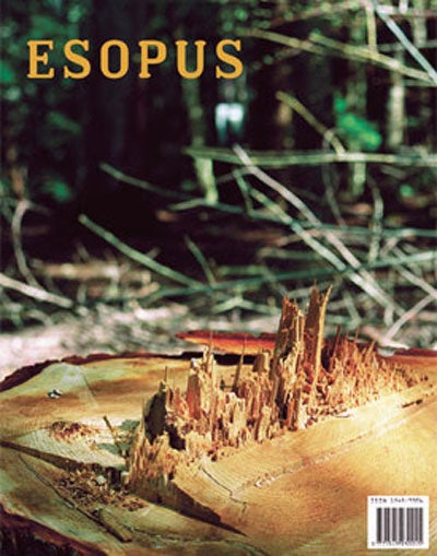 Esopus 1-25 (Complete Collection, including 7 Limited Edition artworks)