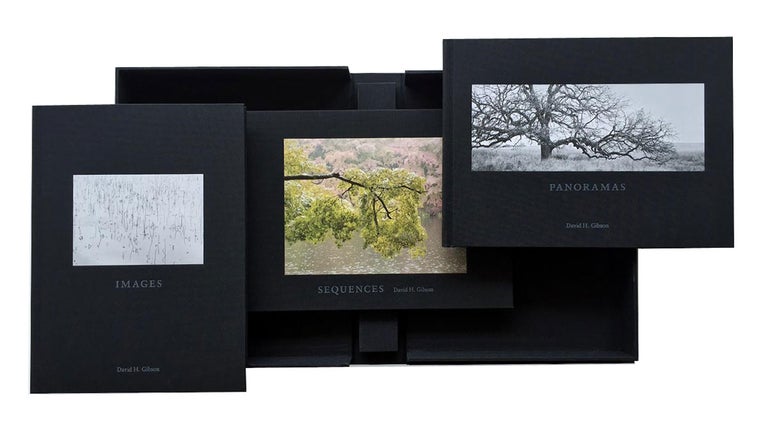 David H. Gibson: Images, Panoramas, Sequences, Limited Edition (3 Volume Set