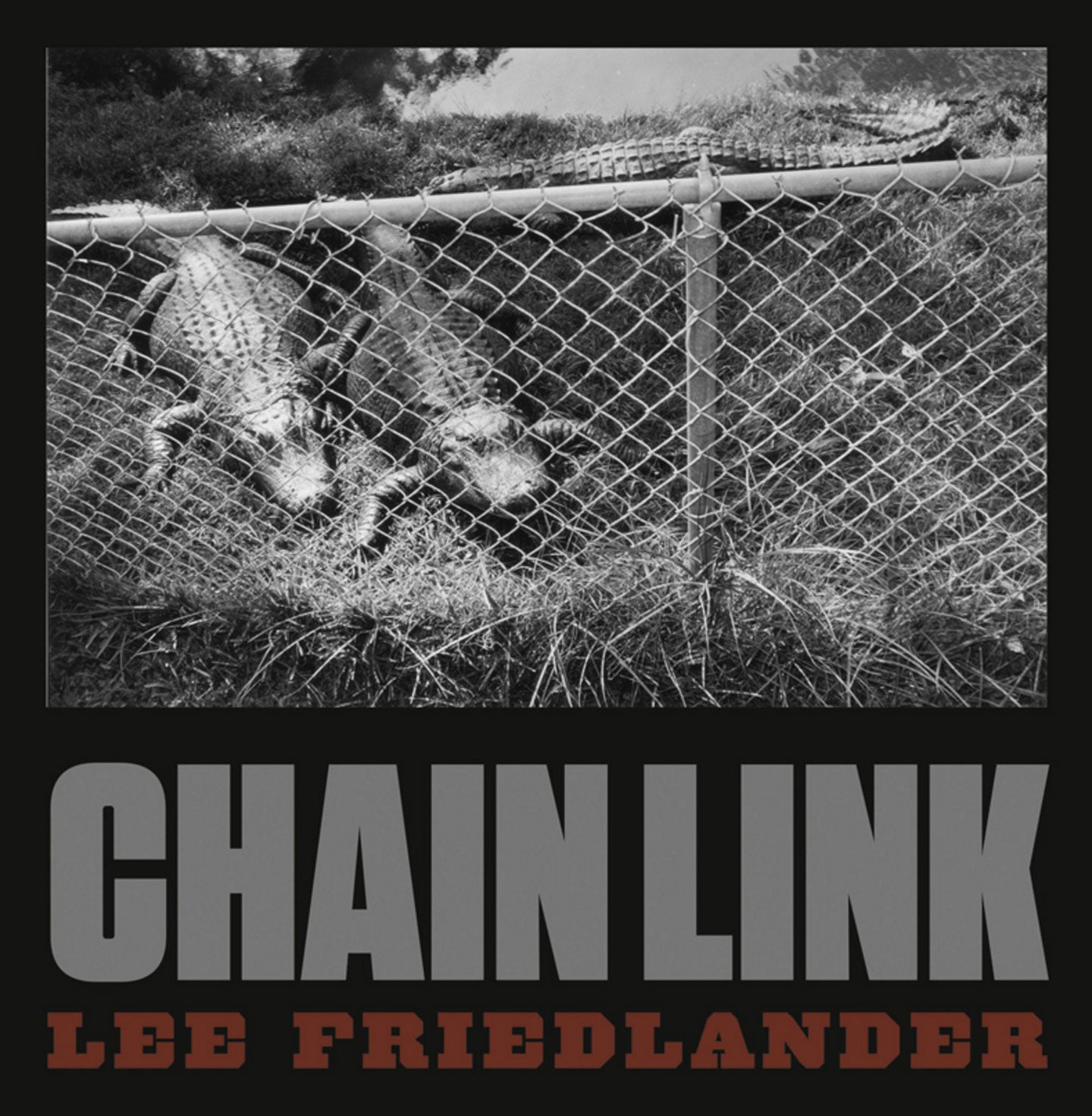 Lee Friedlander: Chain Link [SIGNED]