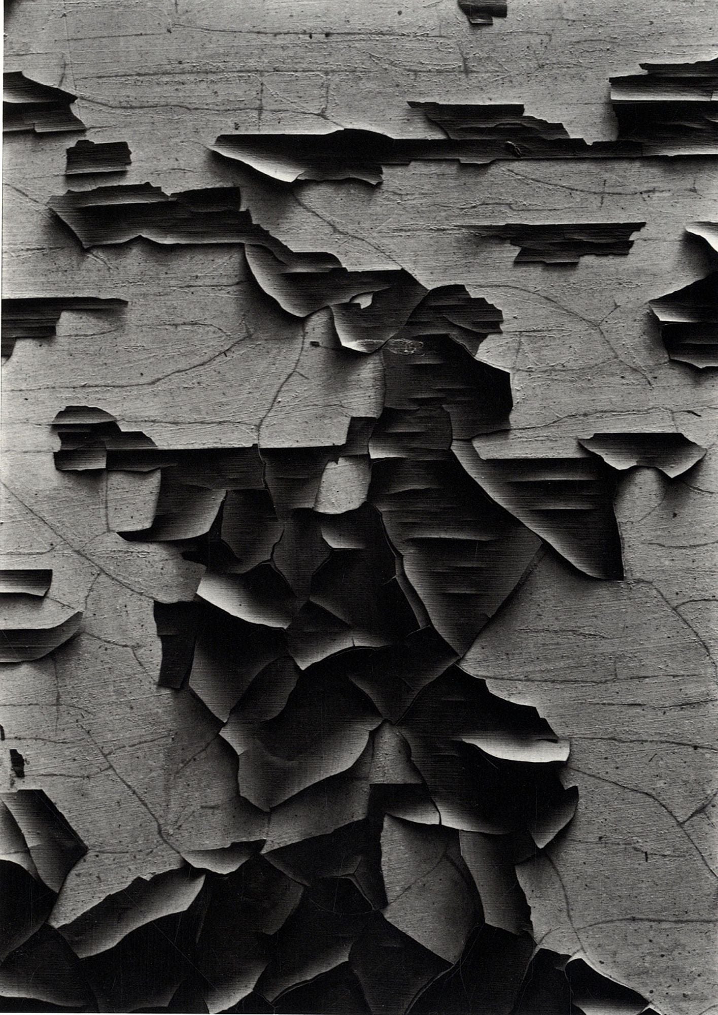 Aaron Siskind: Pleasures and Terrors [SIGNED (for members of The Presidents Club of the University of Arizona Foundation)]
