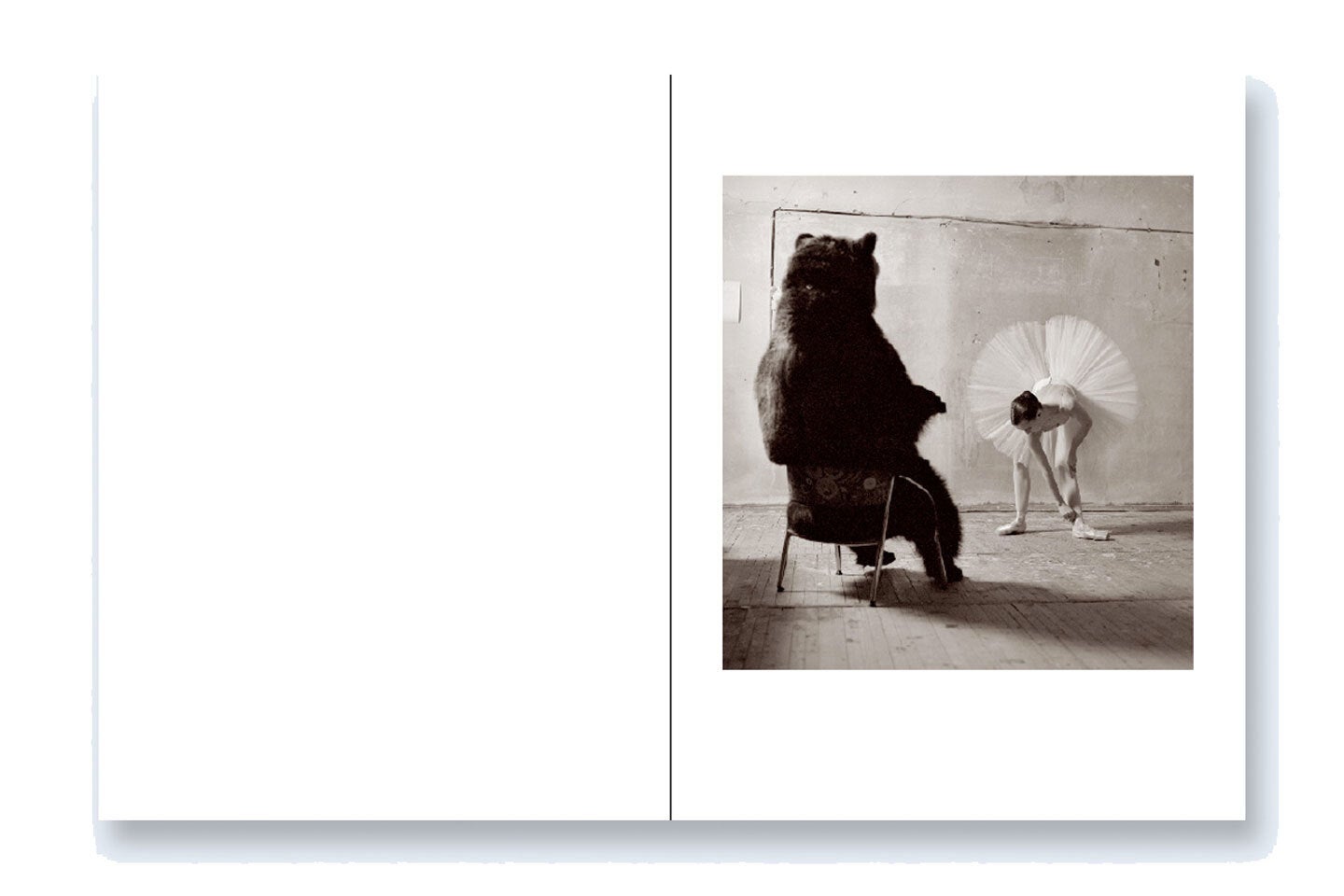 Gregori Maiofis: Taste for Russian Ballet (One Picture Book #98), Limited Edition (with Print)