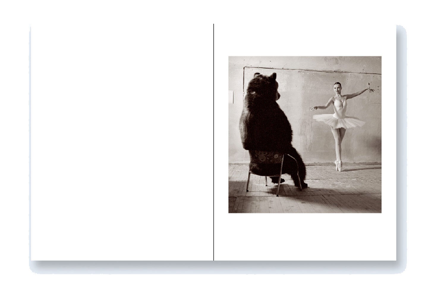 Gregori Maiofis: Taste for Russian Ballet (One Picture Book #98), Limited Edition (with Print)