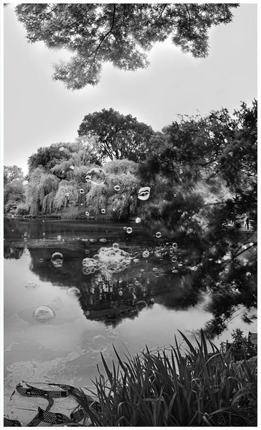 Jeff Liao: Central Park New York, Special Limited Edition (with 4 Prints)