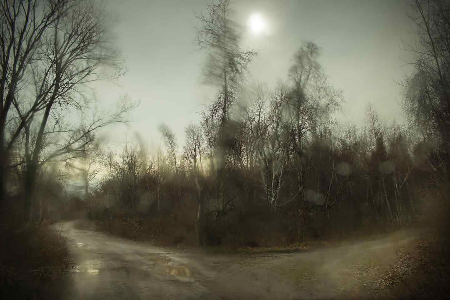Todd Hido: Bright Black World, Deluxe Limited Edition Suite (with 15 Archival Pigment Prints) [SIGNED]