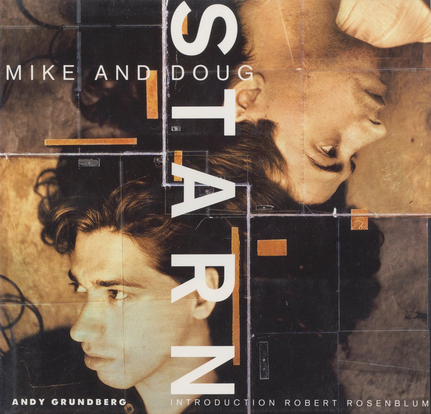 Mike and Doug Starn: 1985-1990