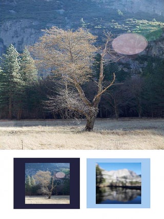 Item #113508 NZ Library #4: Catherine Opie: Yosemite, Special Limited Edition (with Type-C Print)...