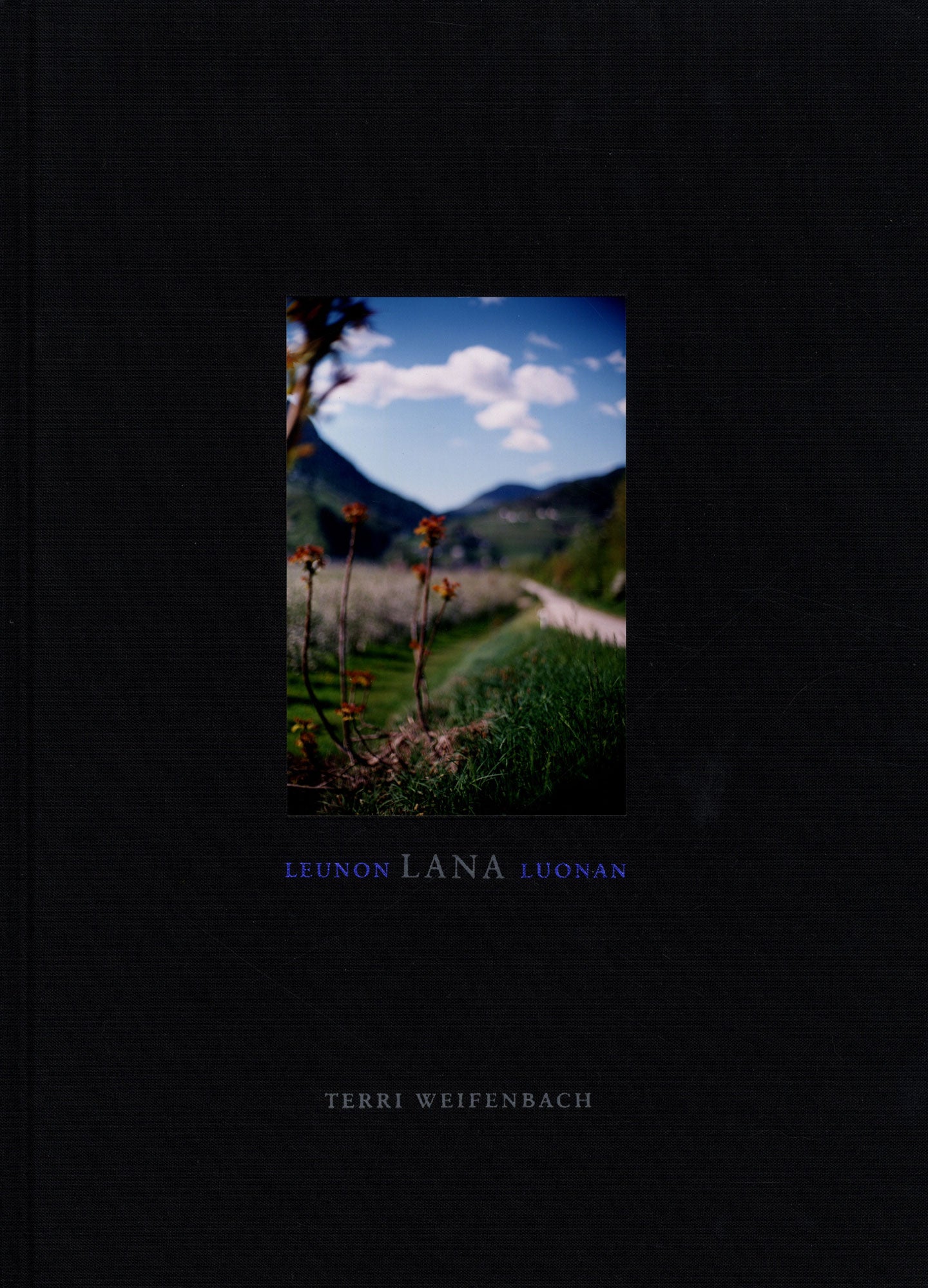 Terri Weifenbach: Leunon Lana Luonan, Limited Edition with Tipped-In Type-C  Print SIGNED by Terri WEIFENBACH on Vincent Borrelli, Bookseller