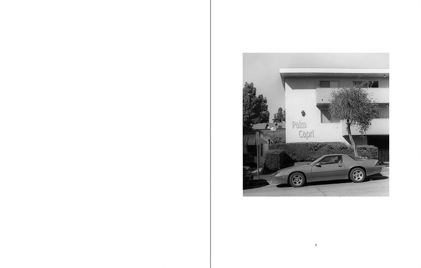 Mark Ruwedel: Palms Capri, Special Limited Edition (with Two Gelatin Silver Prints)