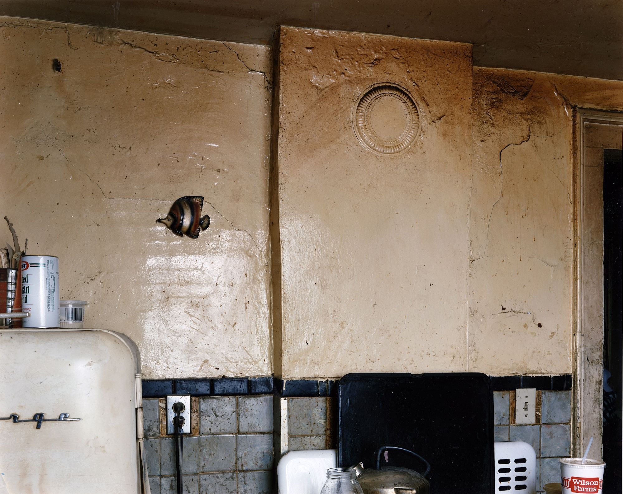 Vincent Borrelli: "Plastic Tropical Fish, Kitchen, Syracuse, New York, 1993" (20x24" Type-C Print), Limited Edition (from the Series "Domestic Interiors")
