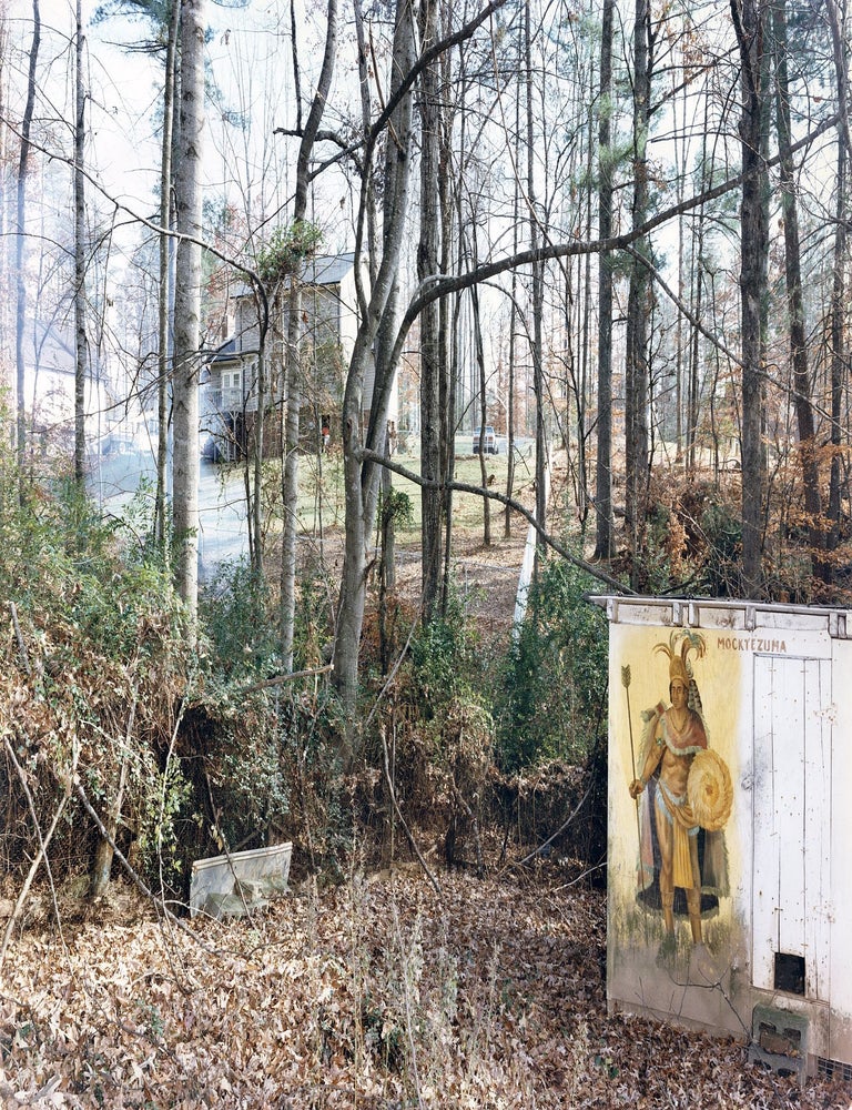 Vincent Borrelli: "'Mocktezuma,' Charlie Swaim's Bee Farm, North Carolina,...
