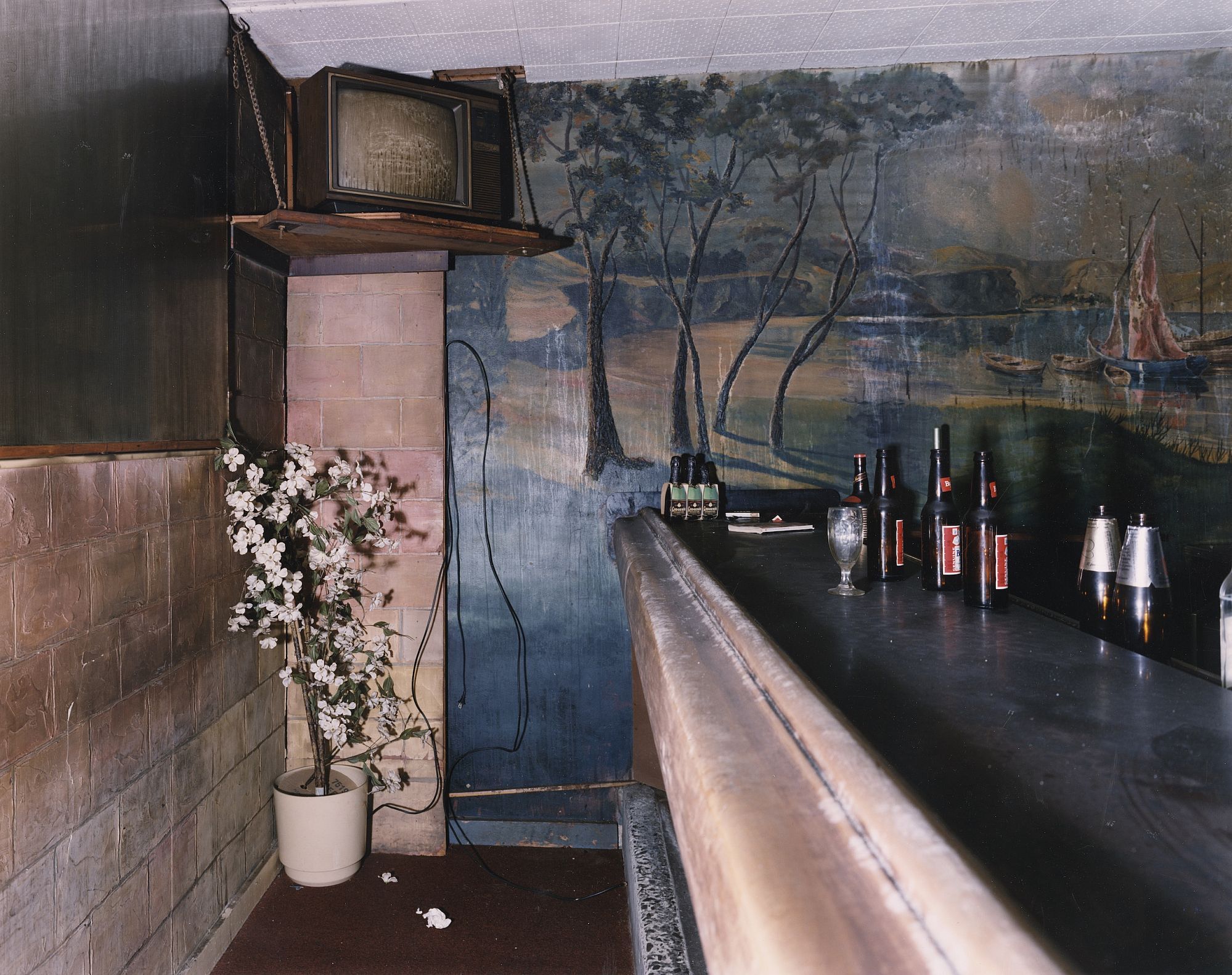 Vincent Borrelli: "Mural by Basil Armstrong, White Elephant Supper Club, Canastota, New York, 1991" (20x24" Type-C Print), Limited Edition (from the Series "Folk Art Environments")